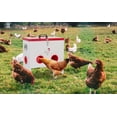 thumbnail image 5 of Automatic Metal Chicken Feeder No Waste  30/50/95 Pounds Poultry Feeder Box  for Chickens, Geese, Ducks, Turkeys (6&10Port), 5 of 8
