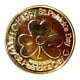 thumbnail image 2 of Moneda Oro Con Del Día San Patricio Moneda Oro Irlandesa Moneda Hoja Verde Favores Fiesta (100 Piezas) Oro Y Verde Cantidad Aleatoria, 2 of 9
