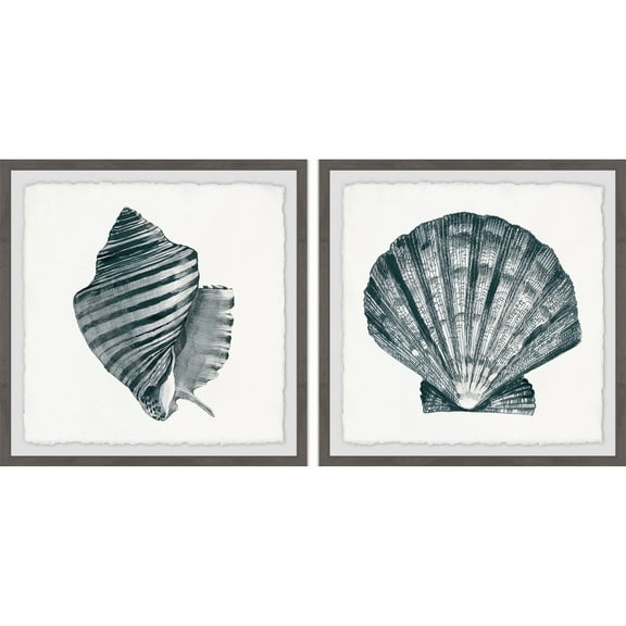 Marmont Hill Striped Queen Conch II Diptych
