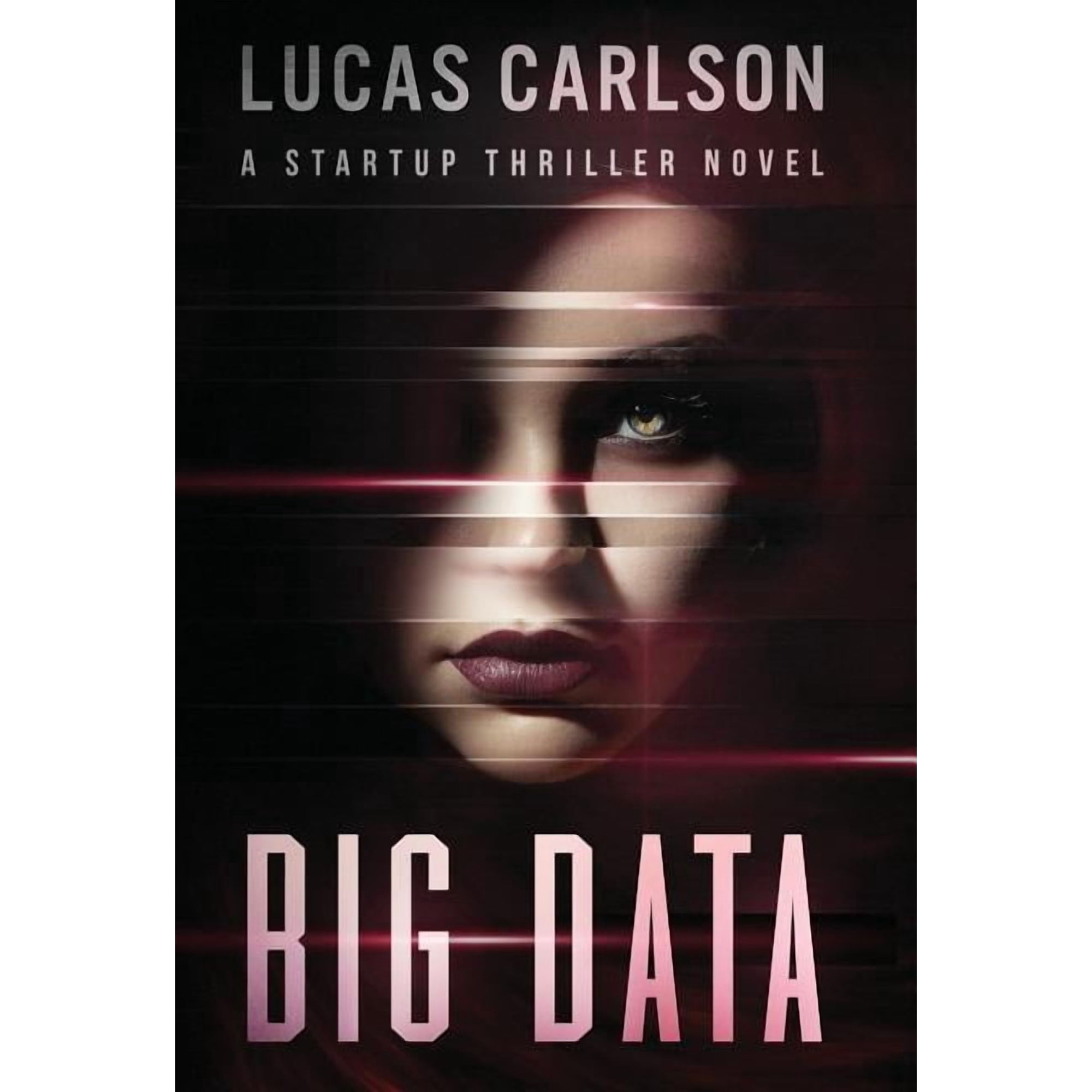 Startup Thriller Big Data: A Startup Thriller Novel Book 2 (Hardcover)