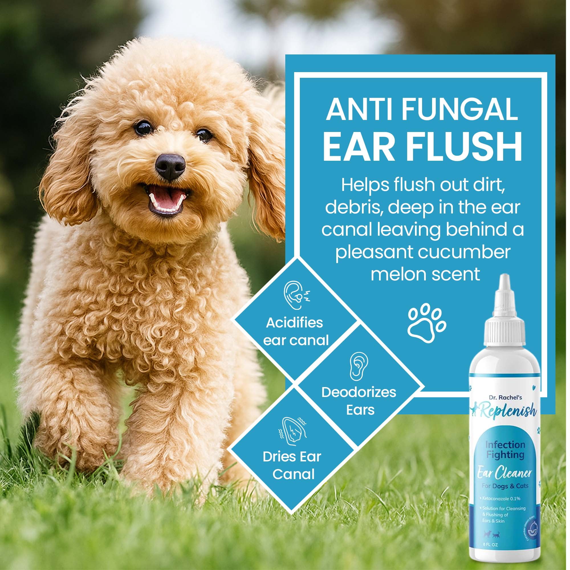 Replenish Dog Anti Itch Ear Cleaner Flush for Dogs and Cats – Advanced Ear Cleanser with Ketoconazole – Deodorizing Support – 8 oz