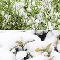 thumbnail image 2 of Flmtop 50g Artificial Magic Instant Snow Powder Christmas Party DIY Xmas Decoration, 2 of 5