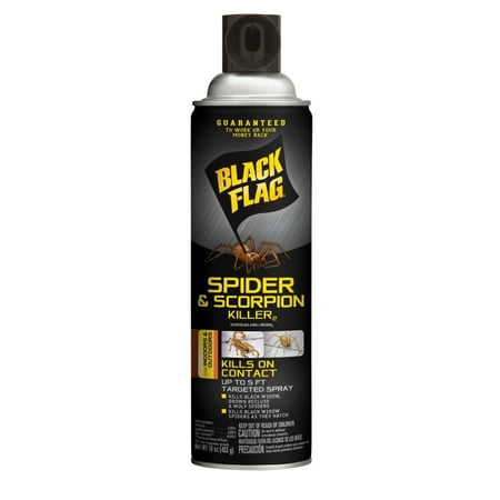 Black Flag Spider and Scorpion Killer 16 Ounces, Aerosol Insecticide