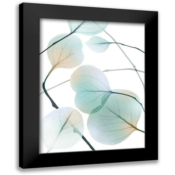 Koetsier, Albert 12x14 Black Modern Framed Museum Art Print Titled - Sunkissed Eternity 2