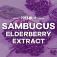 thumbnail image 5 of Elderberry Gummies - 3X Strength Black Elderberry Immune Support Gummy with Vitamin C, D3 and Zinc for Kids & Adults, Immune Health Support Supplement Gummy, Black Elder Berry Vitamins - 60 Gummies, 5 of 10