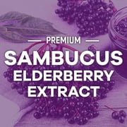 Elderberry Immune Support Gummies - 3X Strength Black Elderberry Gummy with Vitamin C, D3 and Zinc for Kids & Adults - Immune Health Support Supplement Gummy, Black Elder Berry Vitamins - 120 Gummies
