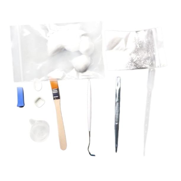 Kit de cuidado de hormigas con herramientas Herramienta de cría de hormigas Alimentador de agua Juego de herramientas de inicio multifunción para cría