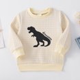 thumbnail image 4 of Sudadera con capucha texturizada con estampado de dinosaurio y letras para niño pequeño de PatPat, 4 of 5