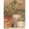 thumbnail image 2 of Hristova, Albena 19x24 Gold Ornate Wood Framed with Double Matting Museum Art Print Titled - Desert Still Life Light Crop, 2 of 4