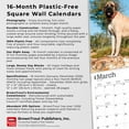 thumbnail image 6 of Mastiffs | 2026 12x24" (Hanging) Square Wall Calendar | Plastic-Free | BrownTrout, 6 of 9