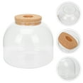 thumbnail image 4 of 1 Set of Glass Terrarium Container DIY Ecological Plant Bottle Glass Plant Terrarium, 4 of 8