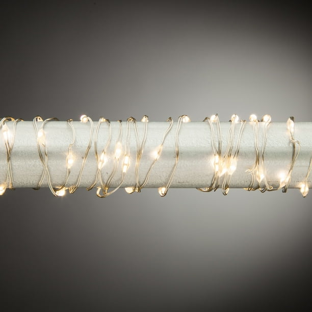 Everlasting Glow 20 Ft. Outdoor LED Light String with 60 ...