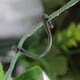 thumbnail image 3 of Pinza para verduras Higoodz Clip de planta 6,5 cm 100 piezas Cocina Decoración y Otros, 3 of 8