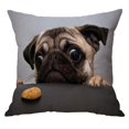 thumbnail image 2 of simhoa Animal Pattern Pillow Case Cushion Cover for Dog Car Sofa Dog 45x45cm, 2 of 8