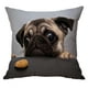 thumbnail image 2 of Funda de Almohada Decorativa con Funda de Almohada Decorativa, Sofá , Funda de Almohada Perro 45x45cm, 2 of 9