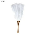 thumbnail image 2 of Yurqghjb White Faux Pampas Grass and Artificial Flower Stems, 10 Pcs 21.65 Inch Fluffy Boho Gothic Decor for Vase, Wedding, Valentine's Day Gifts, 2 of 6