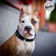 thumbnail image 4 of Collar De Pitbull, Collar De Perro Para Perros Grandes, De N esquí esquí Gafas de esquí, 4 of 5