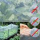 thumbnail image 3 of Red de protección contra insectos Red de protección para invernaderos Red de protección para plantas Red de protección contra insectos Red de protección contra insectos Red de protección contra pájaro, 3 of 5