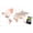 Premium Poster & Push Pin Bundle, variant on Geography - World Map Neutral Earth Tones 26 Wall Poster with Push Pins, 22.375" x 34"
