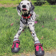 thumbnail image 5 of Waterproof Shoes for Dogs with Reflective Strips Rugged Anti-Slip Sole Dog Boots Paw Protectors, 5 of 5