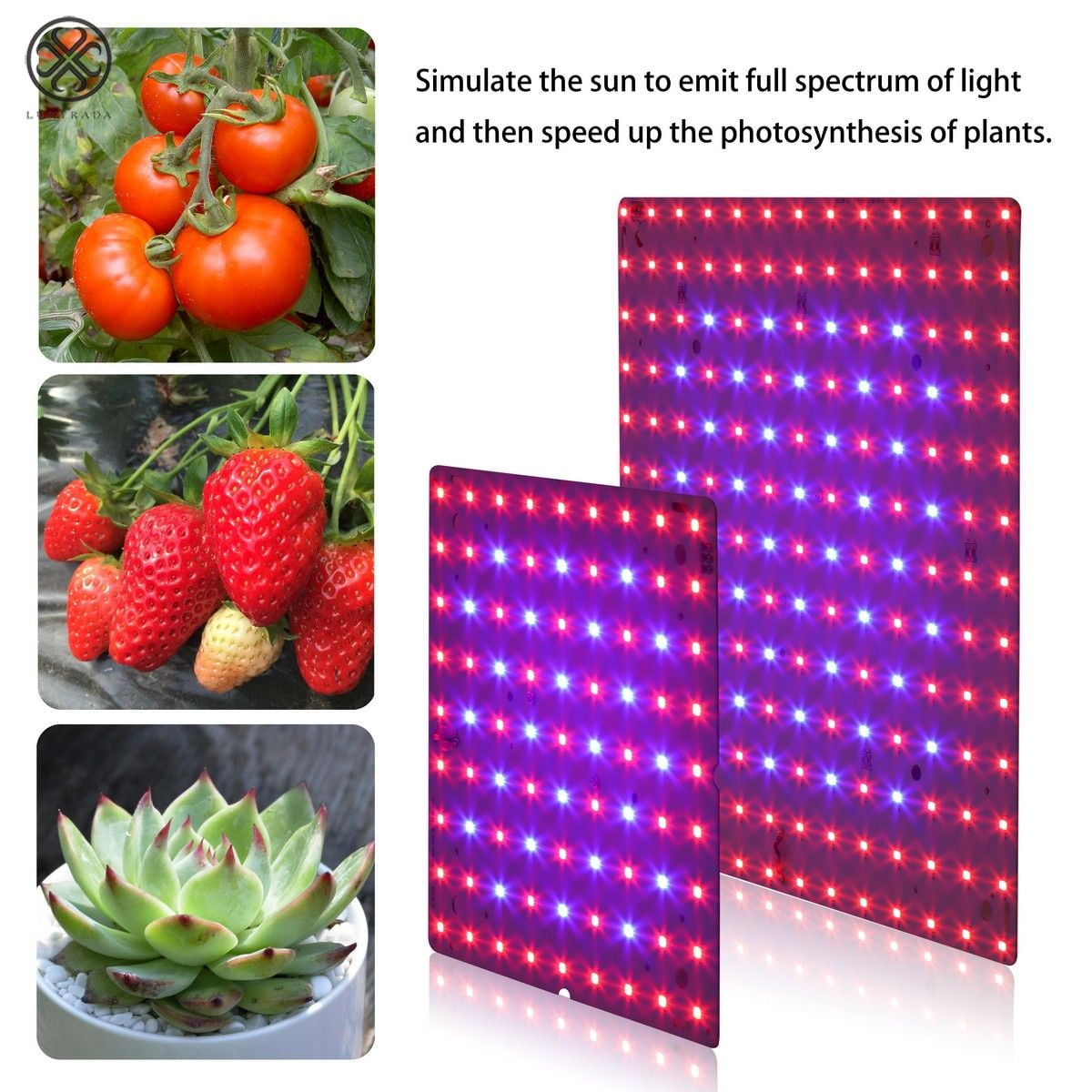 Luxtrada 300W Full Spectrum Grow Light, Red Blue LEDs, Veg