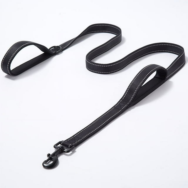 Heavy-Duty Nylon Dog Leash with Double Handles & Padded Grip for Training