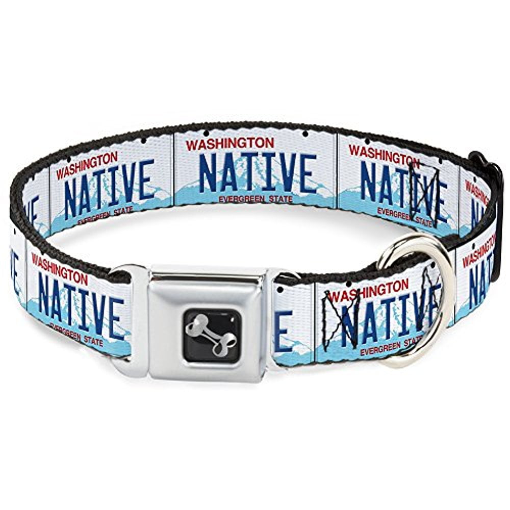 BuckleDown Seatbelt Buckle Dog Collar Washington Flag