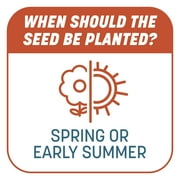 Pennington Smart Patch Bermuda Grass Seed Mix, for Full Sun Grasses, 12 lb. Bonus Size