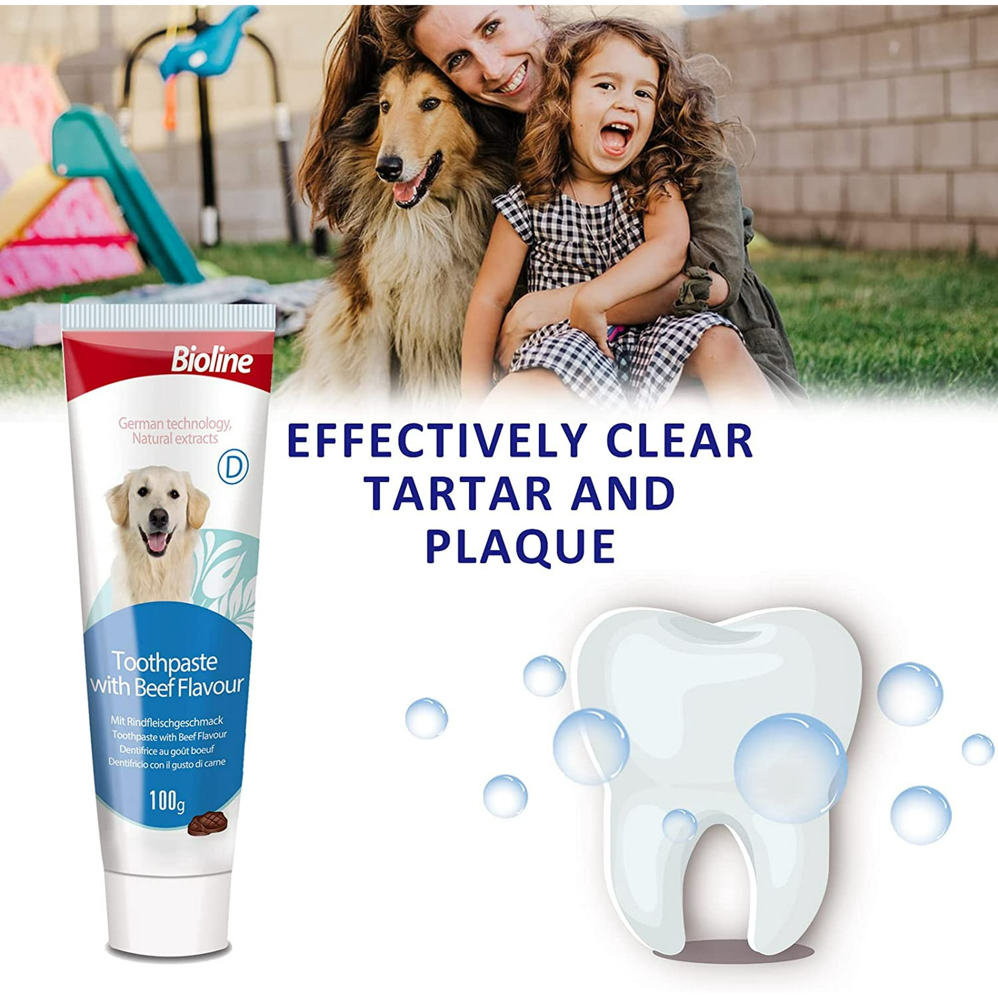Dog toothpaste beef flavor hotsell