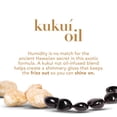 thumbnail image 3 of OGX Hydrate & Defrizz Kukui_ Oil Shampoo, 13 Oz, 3 of 6