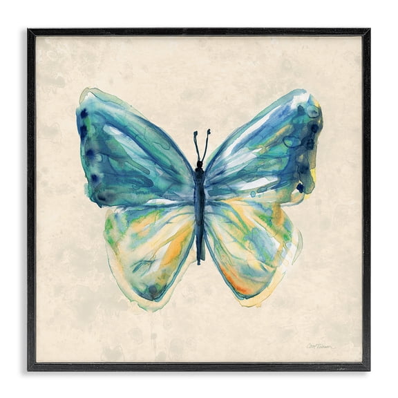 Stupell Industries Bright Watercolor Butterfly Animals Painting Black Framed Art Print Wall Art, 12 x 12
