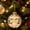 A, variant on EWASWON Christmas Ball Ornament with Winter Scene Inside, Clear Acrylic Hanging Christmas Tree Decoration with LED Lights, Polar Bear Xmas Holiday Home Decor Gift, 3.1 Inch