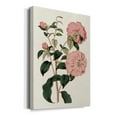 thumbnail image 2 of Pink Floral Mix IV Premium Gallery Wrapped Canvas - Ready to Hang, 2 of 9