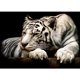 thumbnail image 1 of Taladro diamante pintura (DE2919) 5D DIY completo tigre punto de cruz bordado Kits 45x60cm blanco FLhrweasw Nuevo, 1 of 1