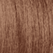 40 Medium Ash Brown