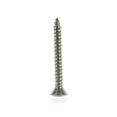 thumbnail image 2 of Sea-Doo New OEM M4.2x32 Philips Tapping Screw QTY 10, 209943260, 2 of 4