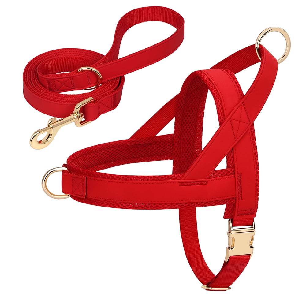 Pet Artist No-Pull Pet Harness and Leash Set, Breathable Mesh & Padded Vest, Front Clip, Adjustable PU Leather with Metal Buckle for Small to Large Dogs