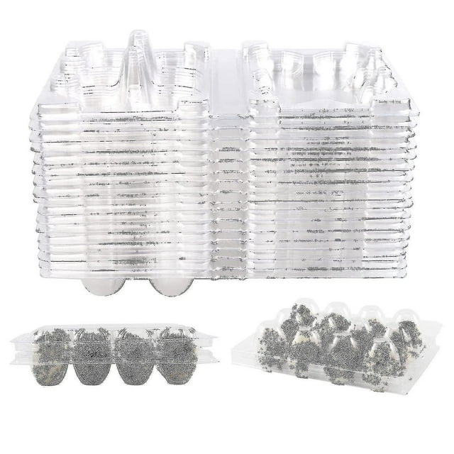 100 Uds 12 rejillas caja de huevos de codorniz cajas de huevos de codorniz reutilizables caja de almacenamiento de huevos caja de almacenamiento de huevos transparente Mini dispensador de hu