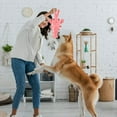 thumbnail image 5 of Soft Disk Lobster Interactive Dog Toy Upgraded Puppy Toy Suitable for Small Dogs To Move and Interestingly. Sturdy Pet Toy for Chewing and Teething, 5 of 5