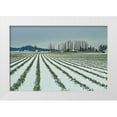 thumbnail image 3 of Dana Styber 14x11 White Modern Wood Framed Wall Art Titled - Snowy Daffodils I, 3 of 5