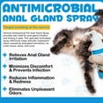 Anal Gland Spray for Cats, Cat Anal Gland Spray Relieving & AntiItch