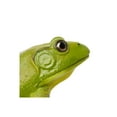 thumbnail image 5 of Safari Ltd. American Bullfrog Figurine - Realistic 4.75" Model Figure - Educational Toy for Boys, Girls, and Kids Ages 18M+, 5 of 7