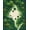 Green, Pattern 1, variant on ODIKA 5'x7' Machine Washable Non-Slip Area Rug, Circle for Room Forest Map Design High Traffic Rug, Green, 86816