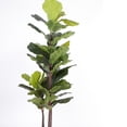 thumbnail image 2 of Planta Decorativa ALTEREGO DESIGN Oreja de Elefante Verde con Maceta Negra, 2 of 2