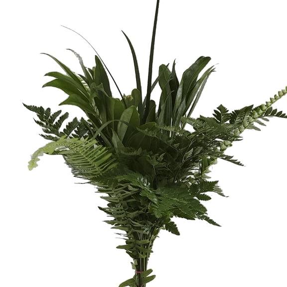 Grace Mixed Greens Bouquet 5 Pack of Farm Direct Fresh Cut Flower Bouquets of Mixed Greenery by Bloomingmore
