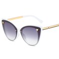 thumbnail image 4 of Unisex Square Classic Cat Eye Sunglasses Cateye Sunglasses Y1092, 4 of 4