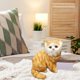thumbnail image 1 of Gatos de peluche realistas CUTICAT juguetes de dibujos animados Gato de peluche amarillo, 1 of 8