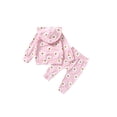 thumbnail image 2 of Qiylii Girl Floral Clothes Set, Long Sleeve Hooded Pullover+Elastic Waist Pants, 2 of 9