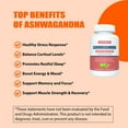 thumbnail image 3 of Nature4U Ashwagandha 4000mg Extra Strength, Natural Mood & Stress Support, 90 Capsules, 3 of 6
