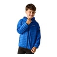 thumbnail image 4 of Regatta Veste à Capuche Hillpack pour Garçons/filles, 4 of 5